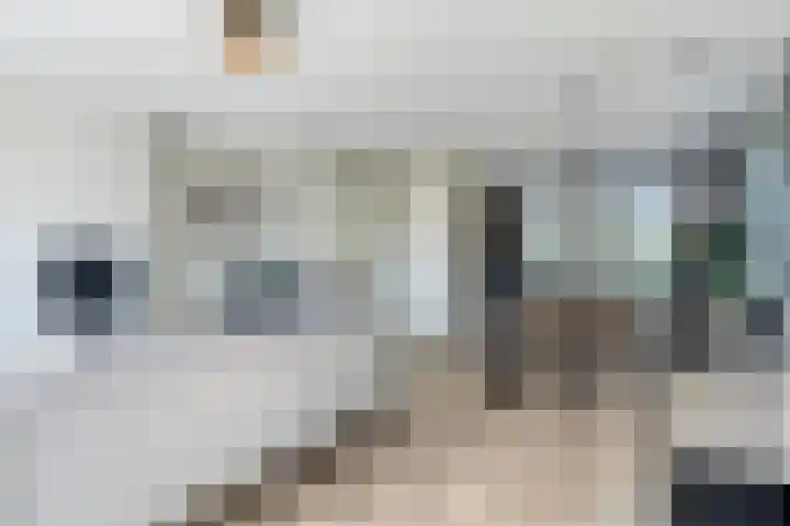 Meerkoet 9 Piershil thumbnail 9