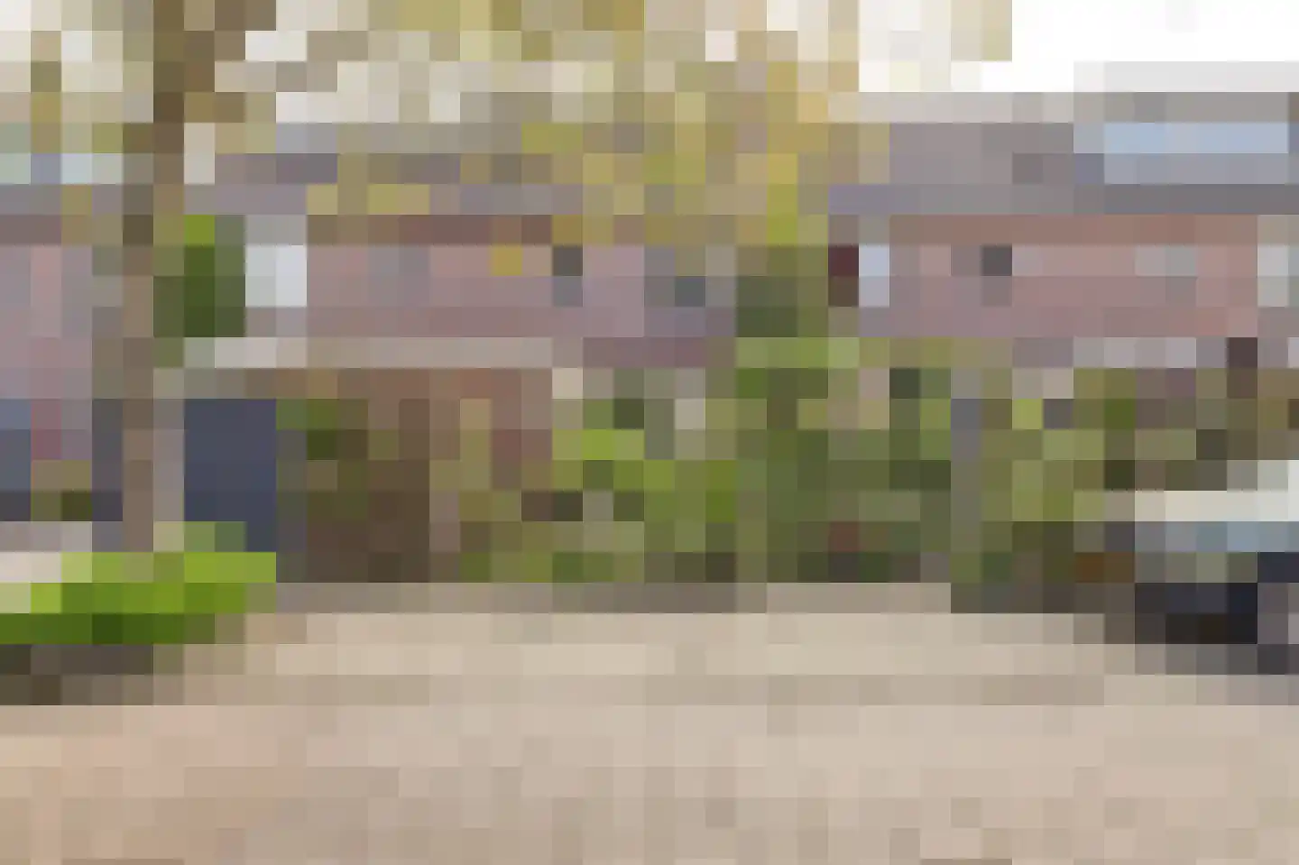 Meerkoet 98 en Harmelen