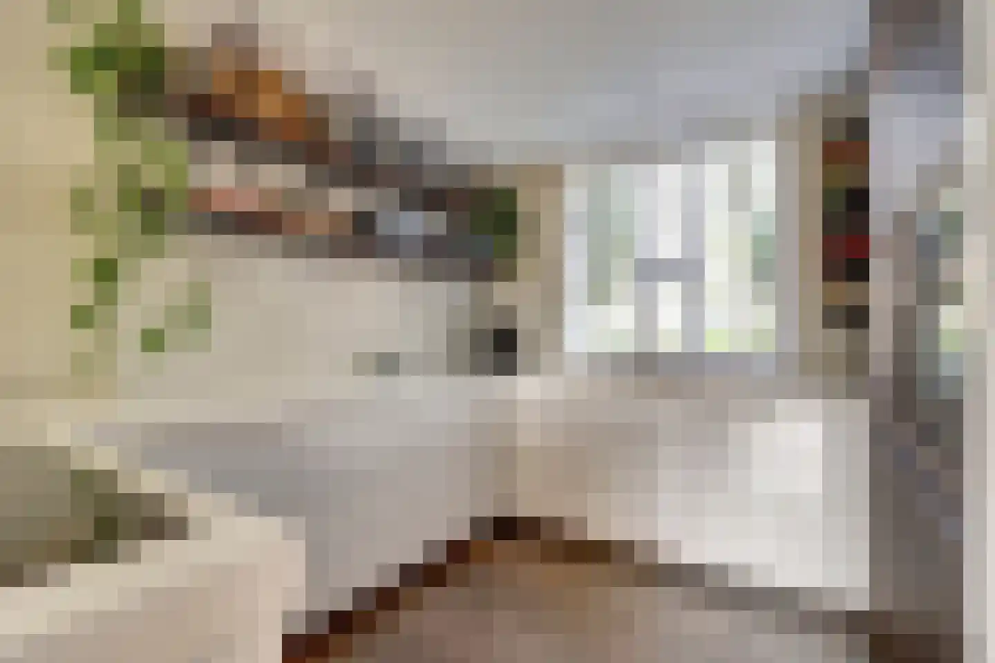Meerkoet 98 Harmelen thumbnail 11