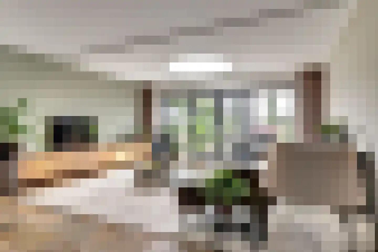 Meerkoet 98 Harmelen thumbnail 14