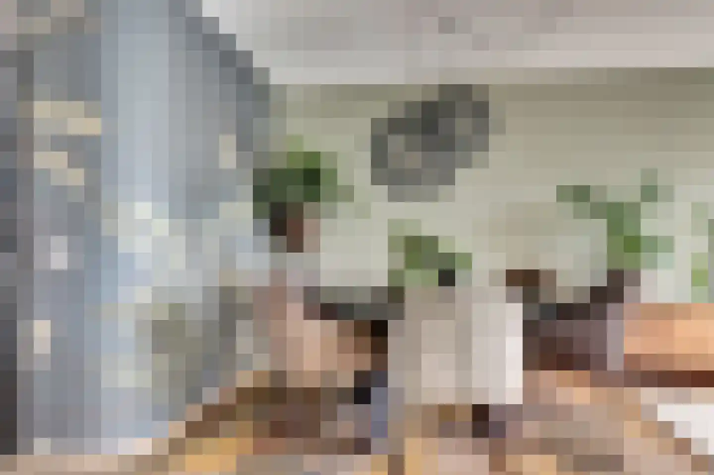 Meerkoet 98 Harmelen thumbnail 15