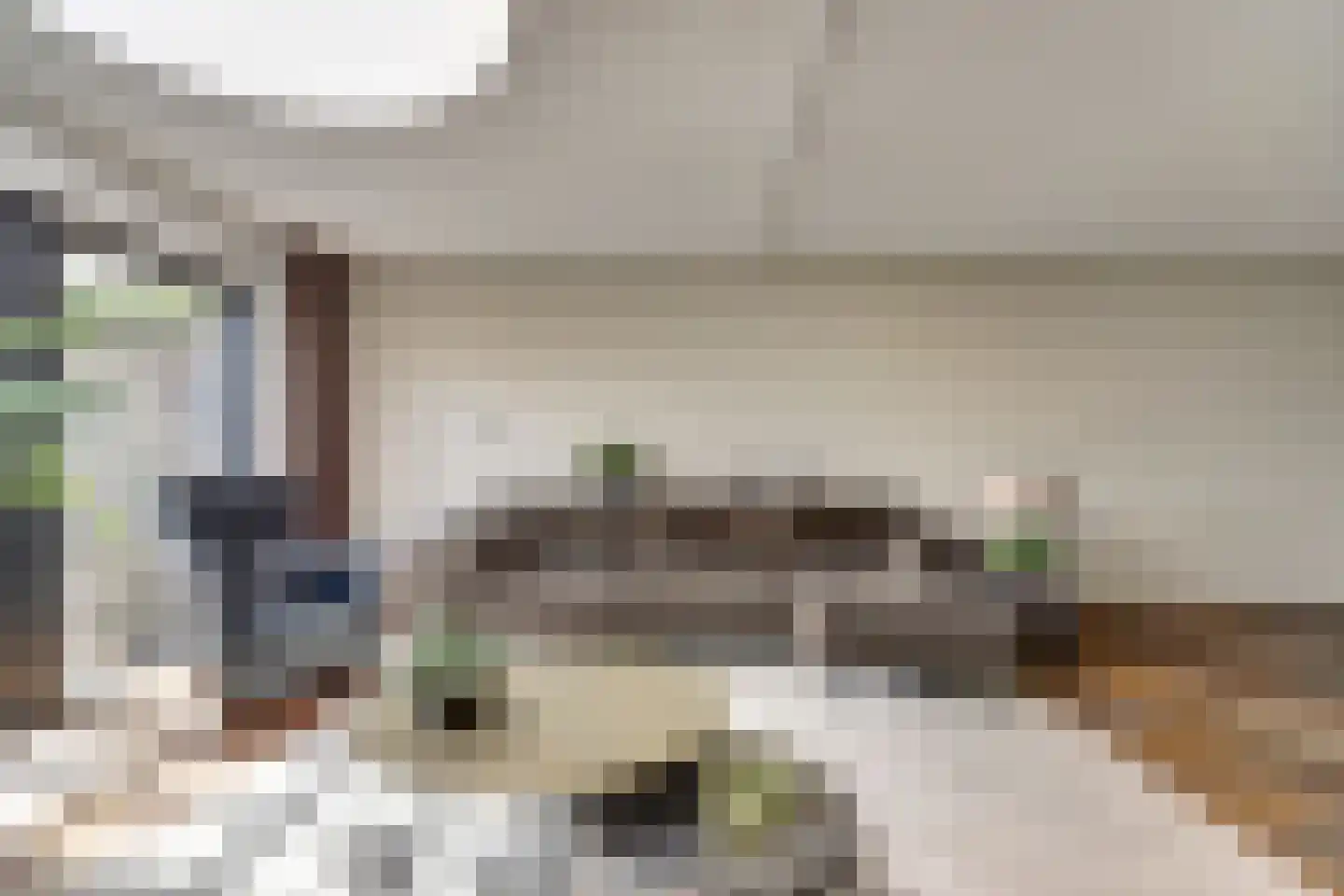 Meerkoet 98 Harmelen thumbnail 17