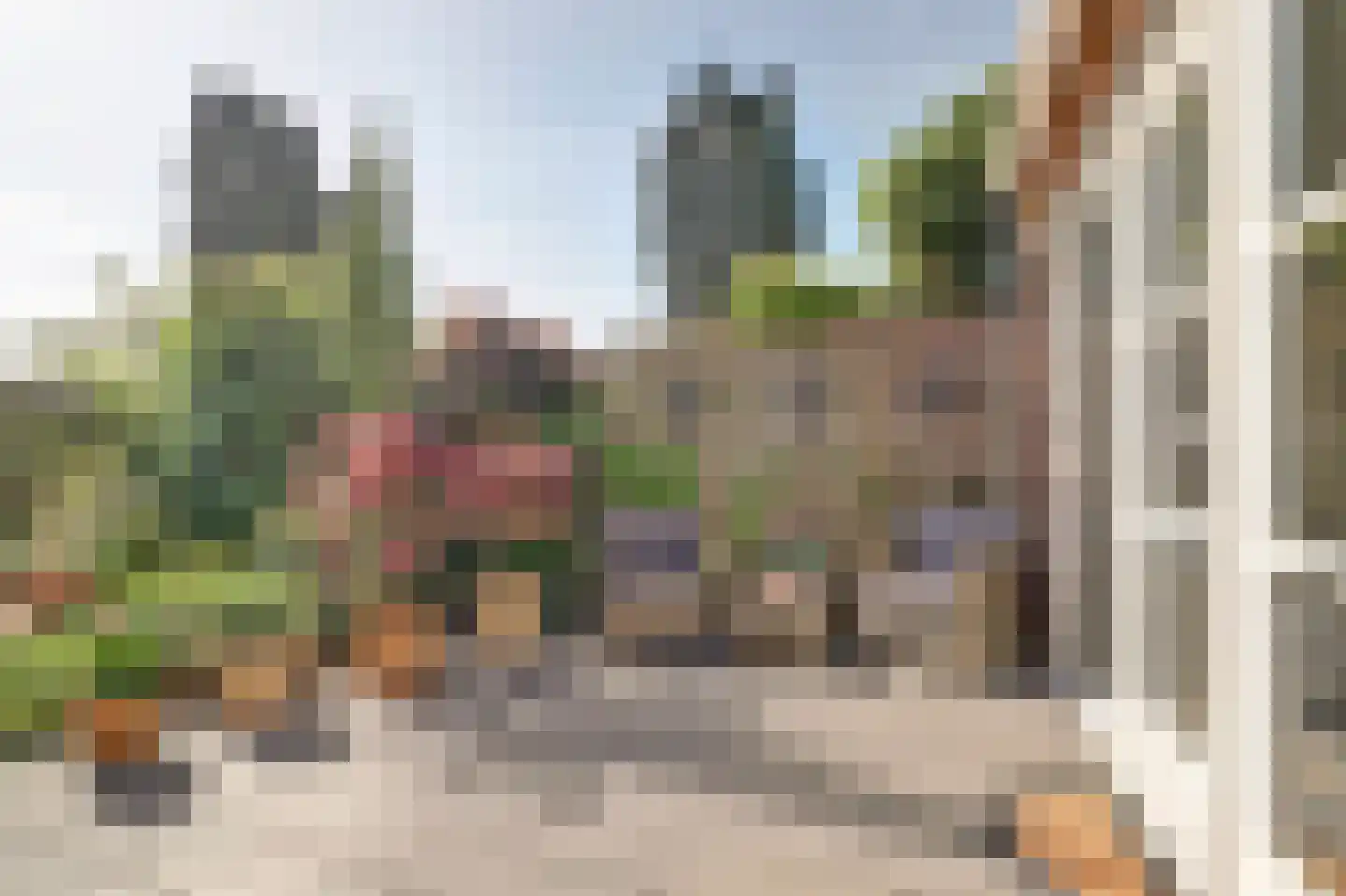 Meerkoet 98 Harmelen thumbnail 19
