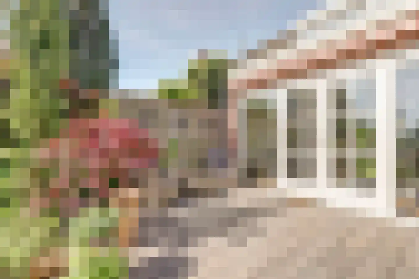Meerkoet 98 Harmelen thumbnail 20