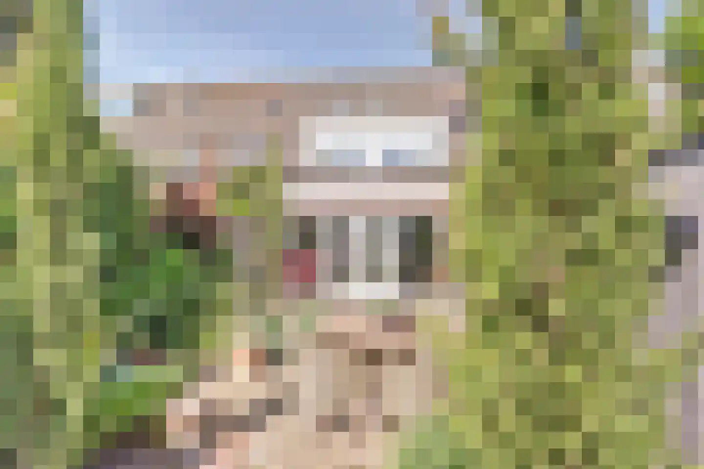 Meerkoet 98 Harmelen thumbnail 23