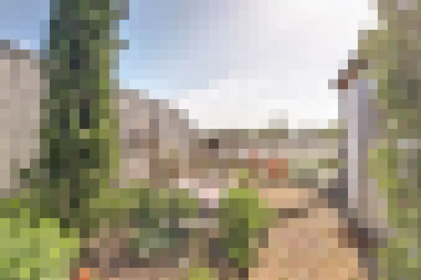 Meerkoet 98 Harmelen thumbnail 24