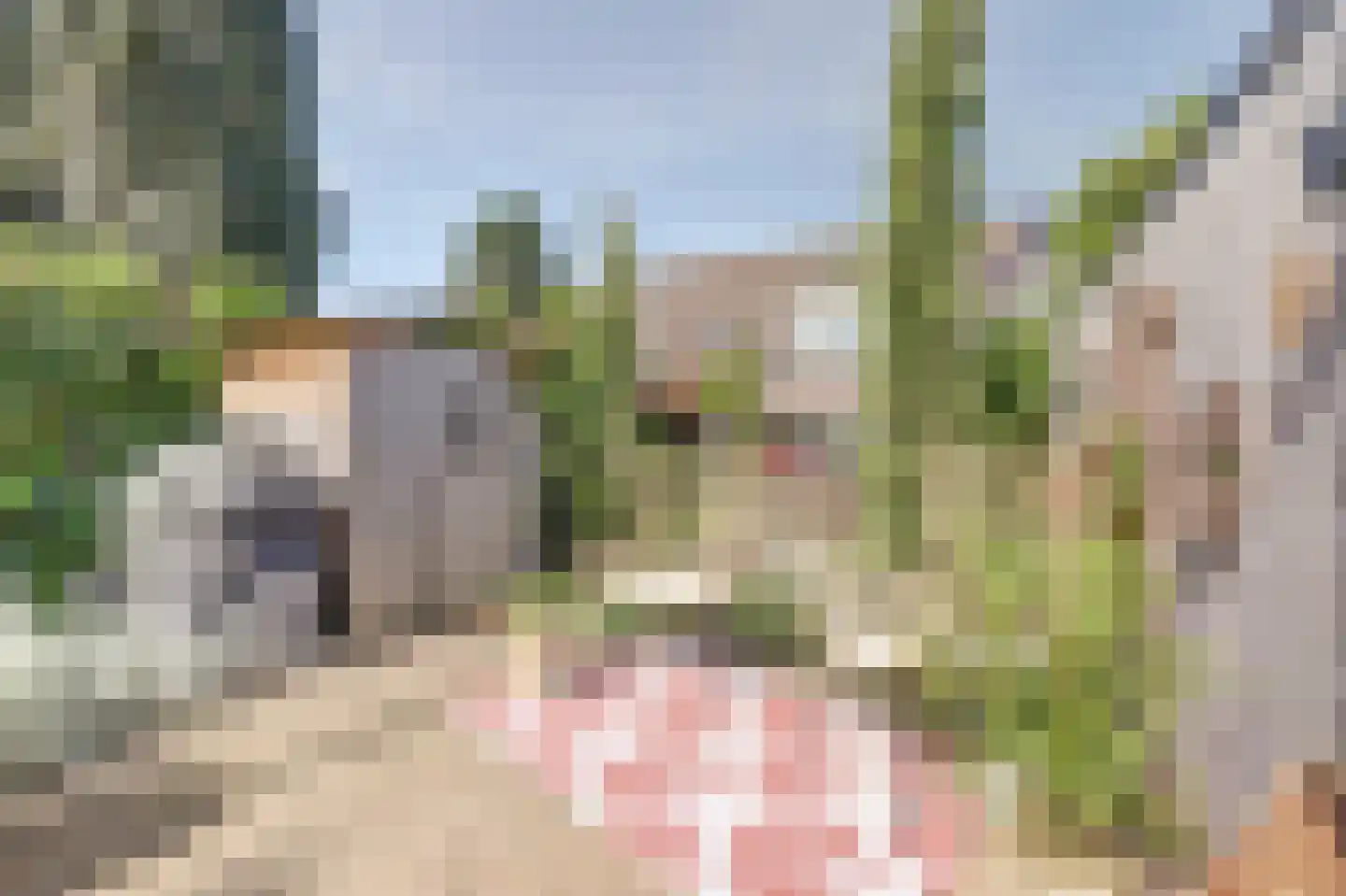 Meerkoet 98 Harmelen thumbnail 25