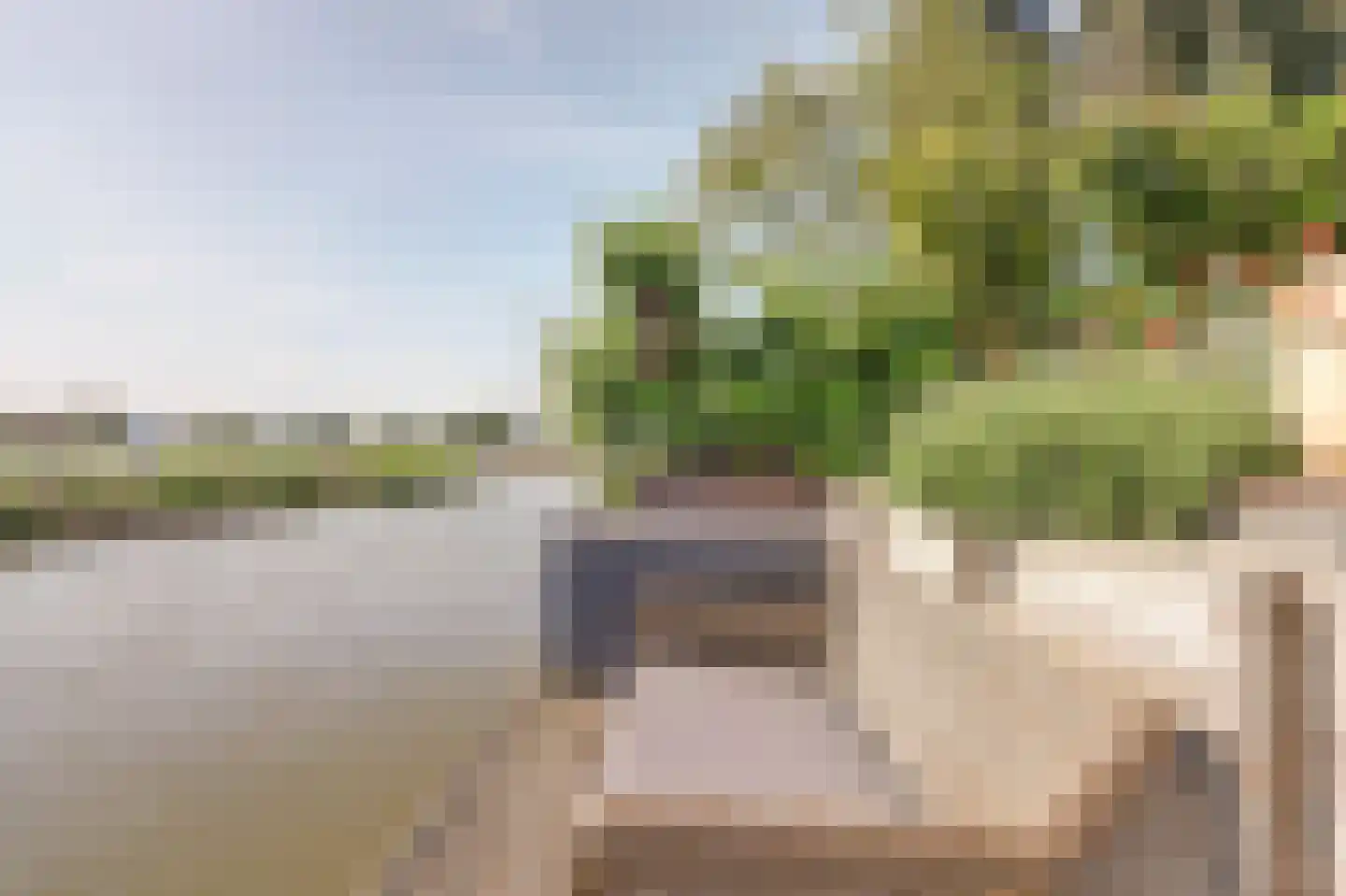 Meerkoet 98 Harmelen thumbnail 26