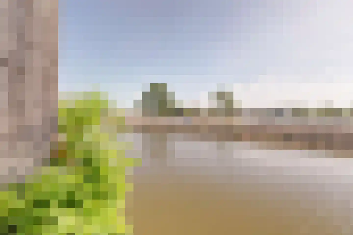 Meerkoet 98 Harmelen thumbnail 27
