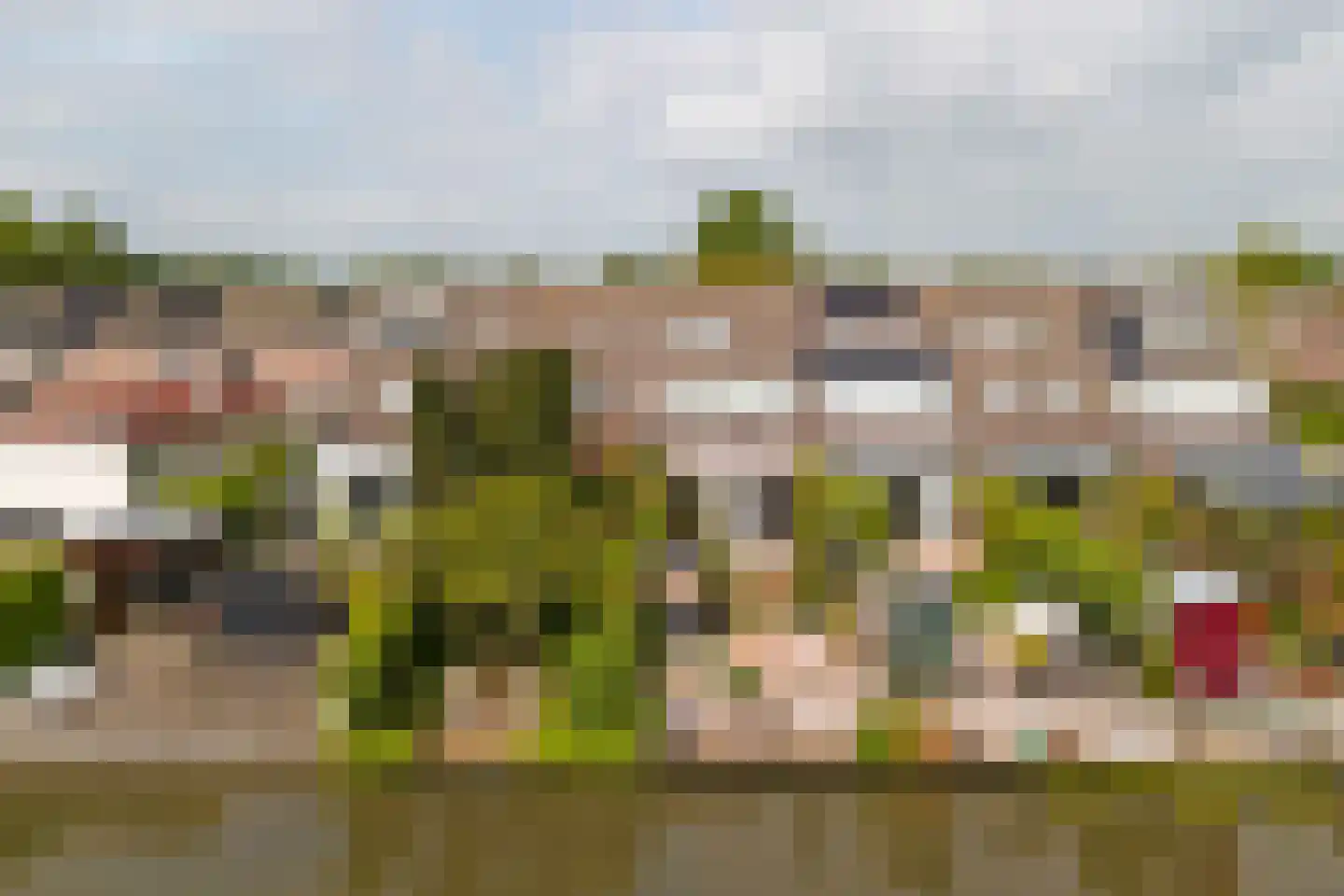 Meerkoet 98 Harmelen thumbnail 29