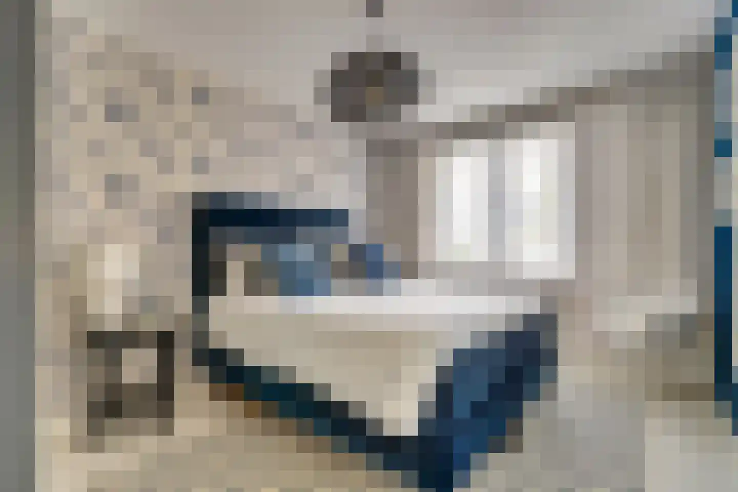 Meerkoet 98 Harmelen thumbnail 31
