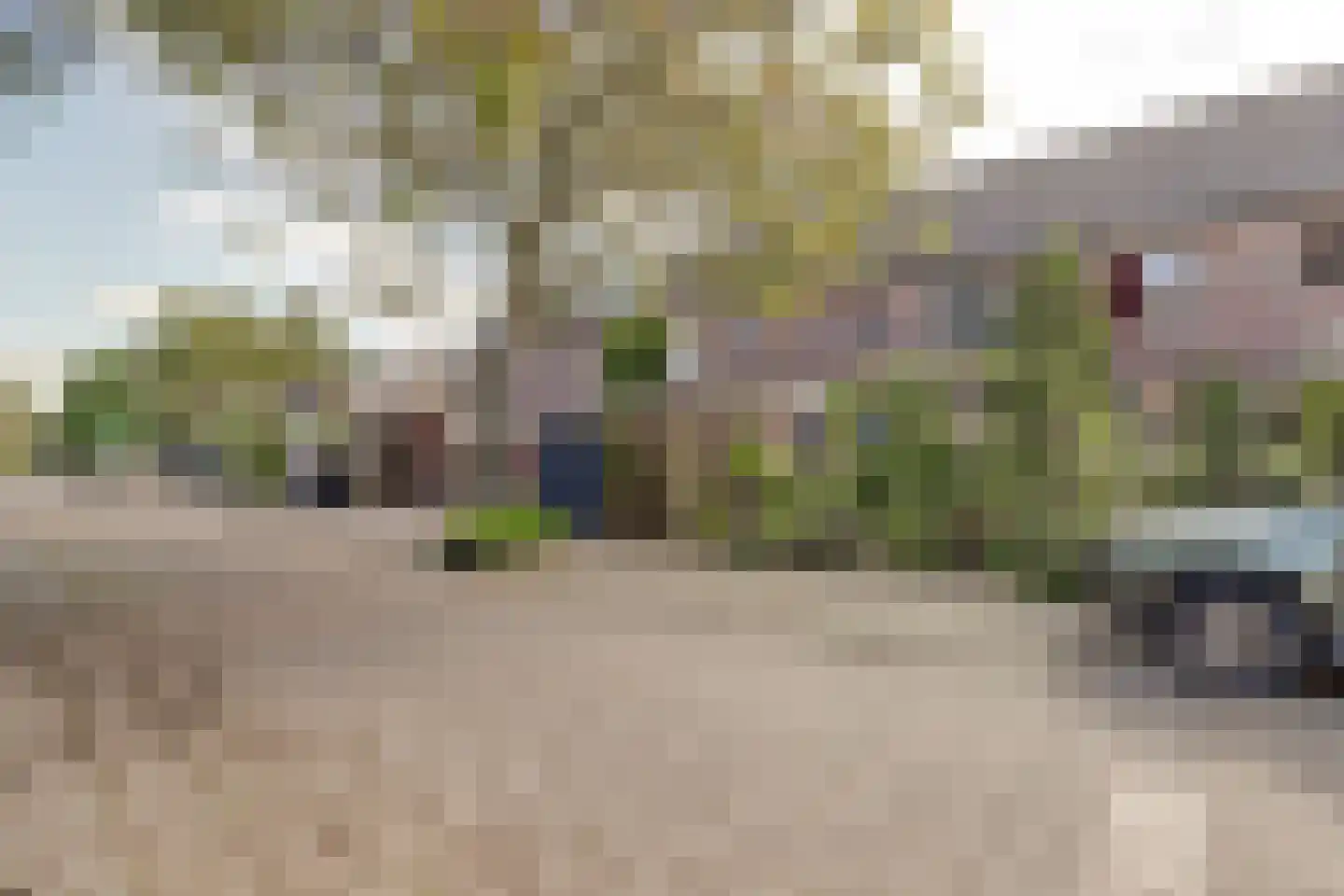 Meerkoet 98 Harmelen thumbnail 41