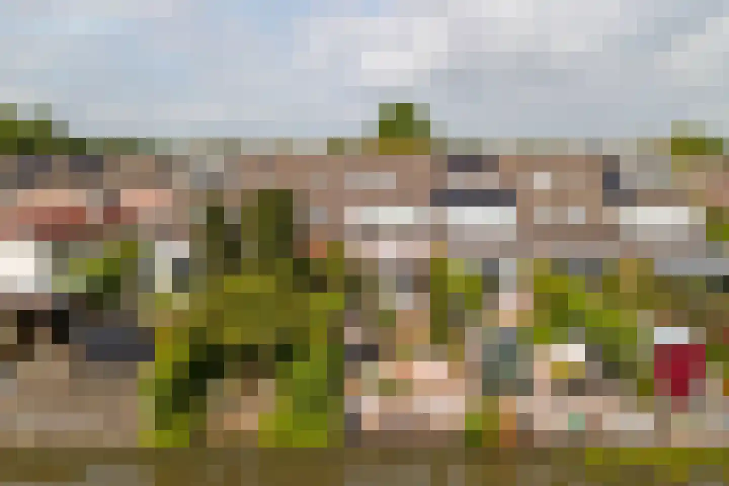 Meerkoet 98 Harmelen thumbnail 42