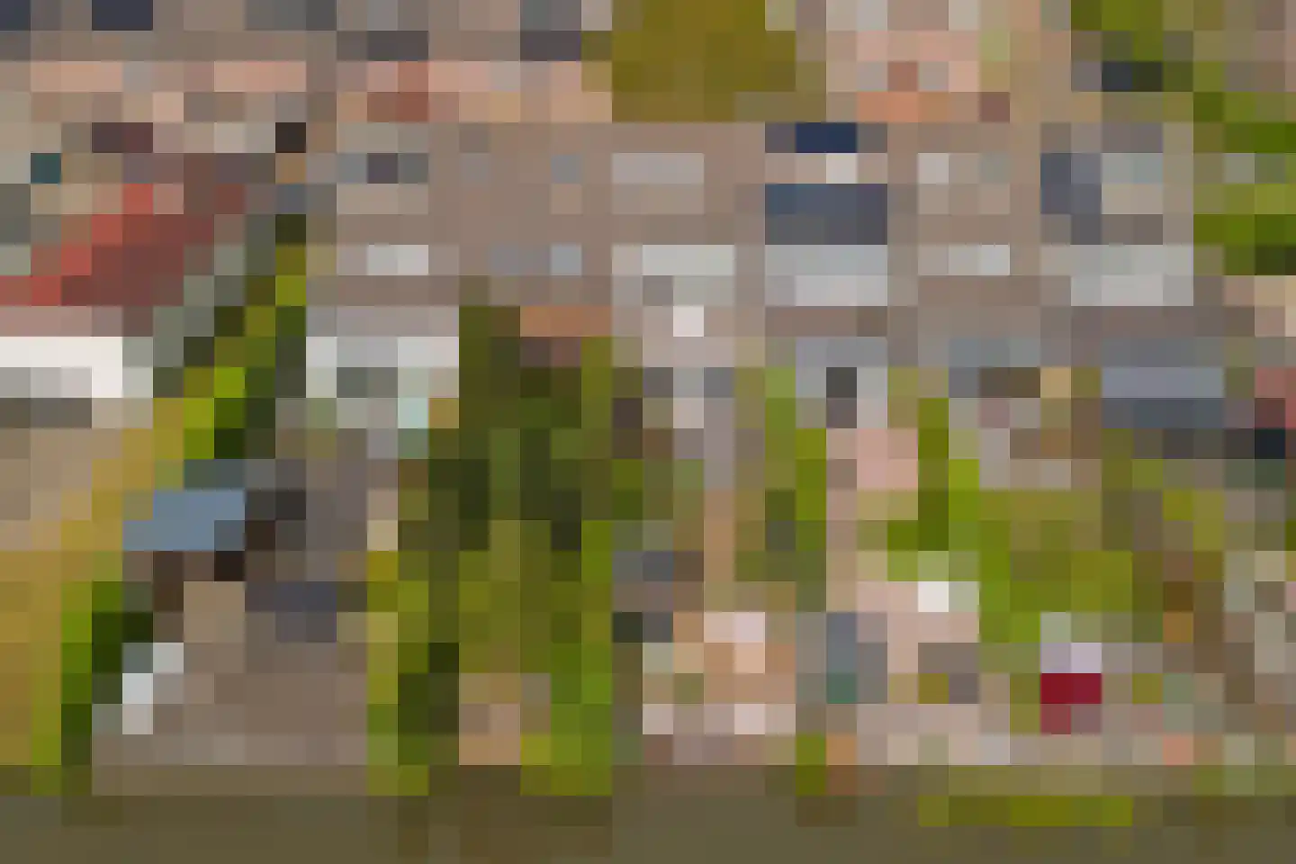 Meerkoet 98 Harmelen thumbnail 43