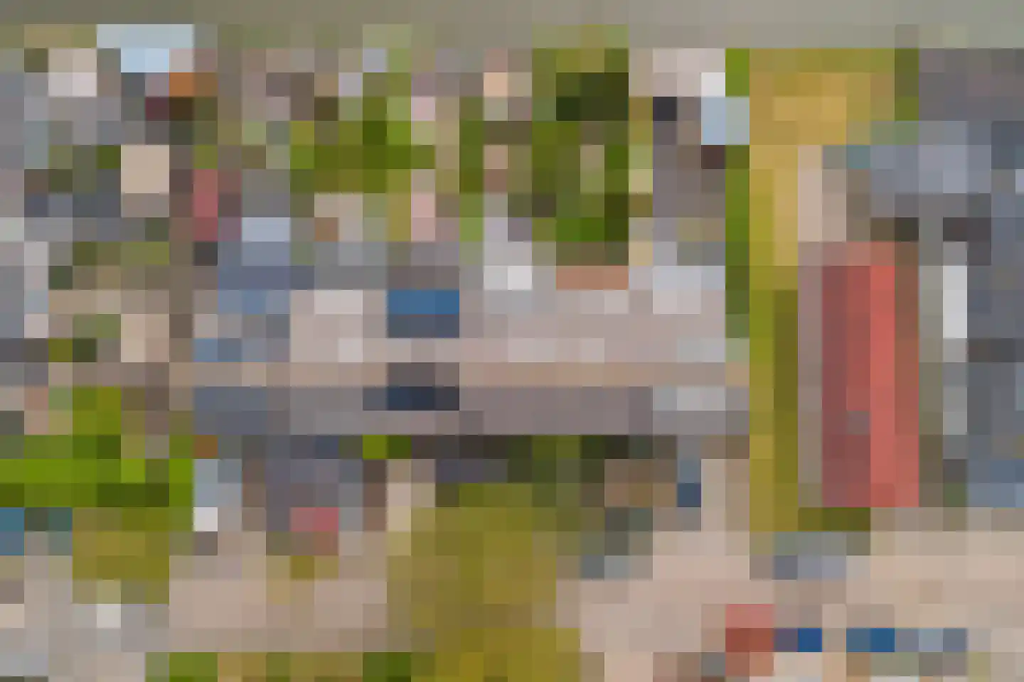 Meerkoet 98 Harmelen thumbnail 45