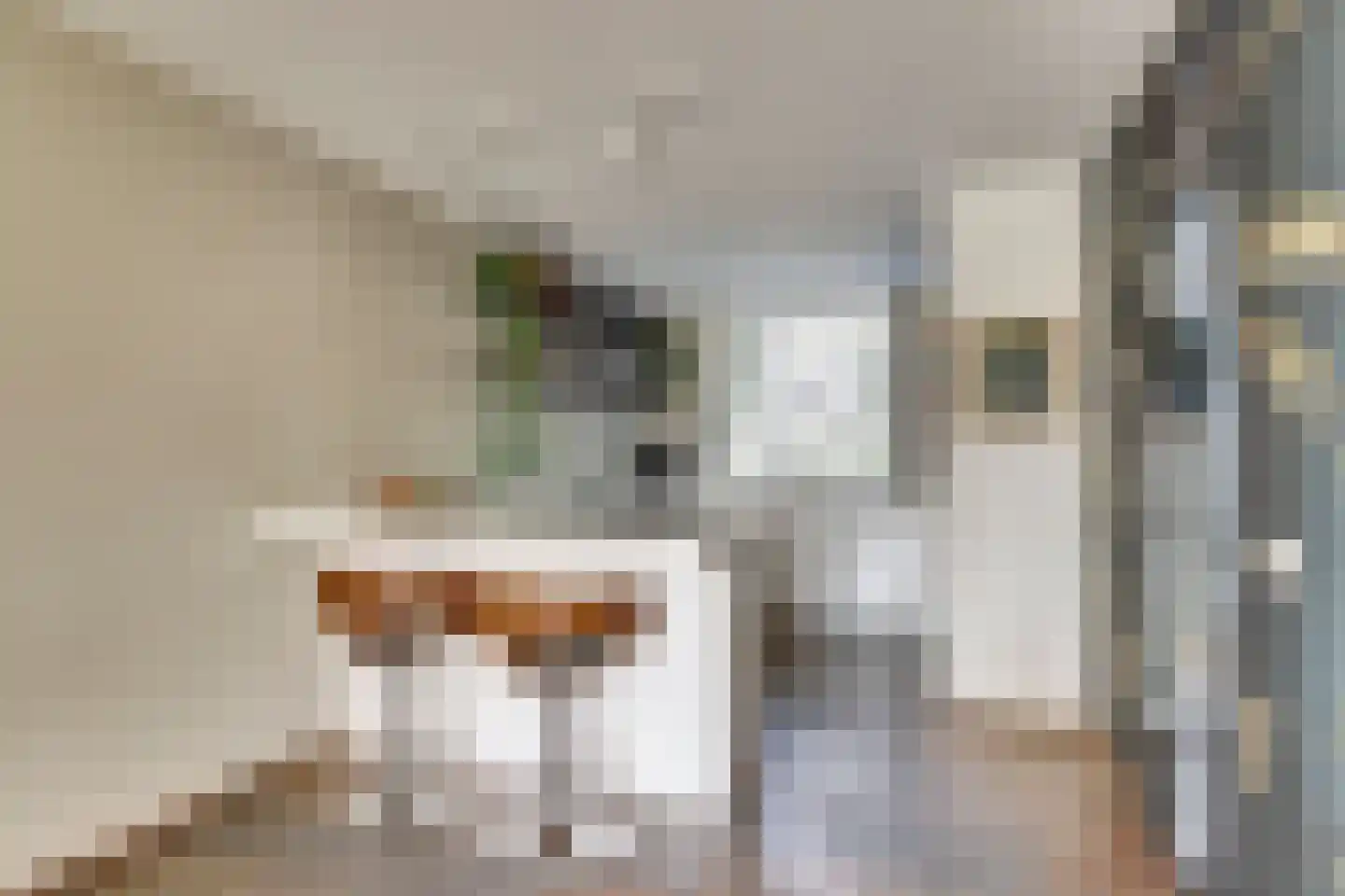 Meerkoet 98 Harmelen thumbnail 7