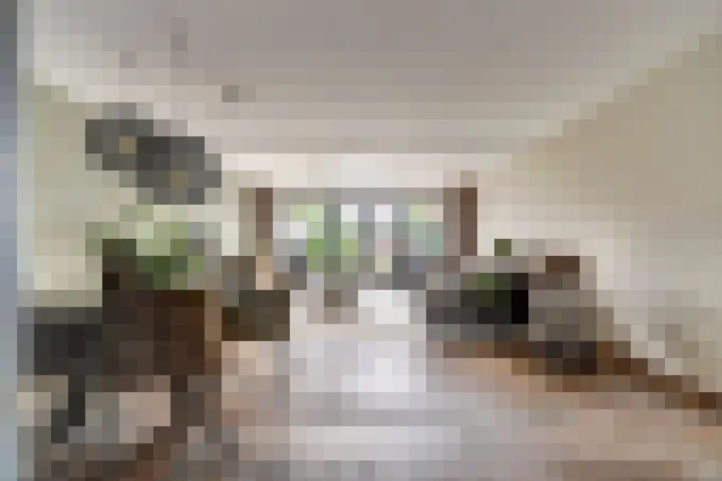 Meerkoet 98 Harmelen thumbnail 8