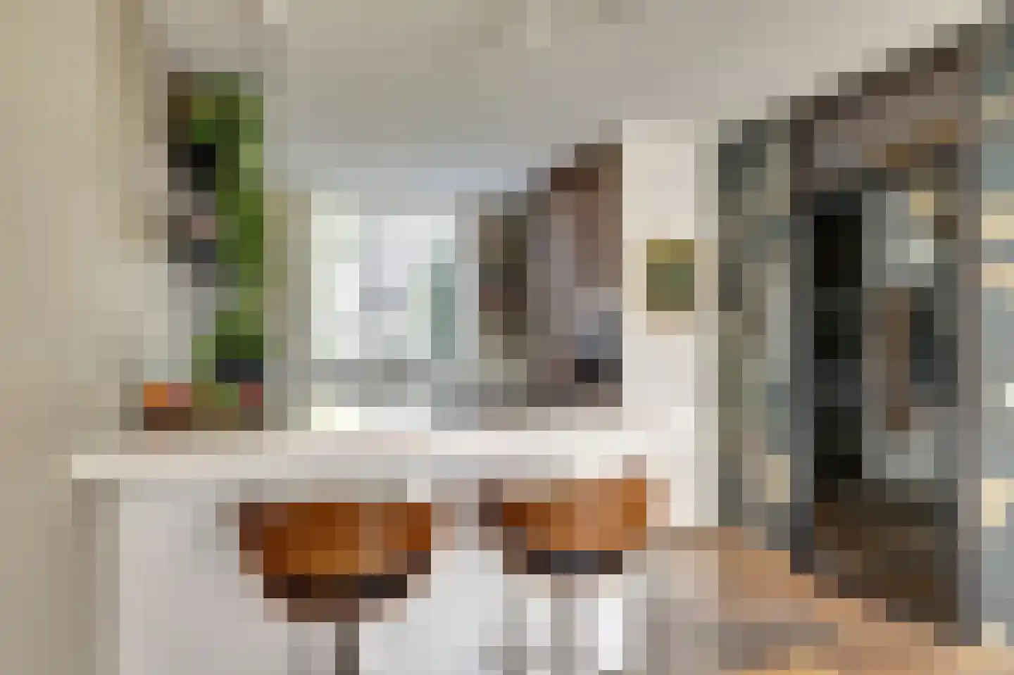 Meerkoet 98 Harmelen thumbnail 9