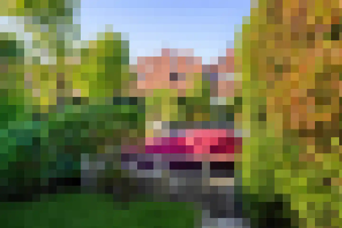 Meerkoeteiland 27 Voorschoten thumbnail 33