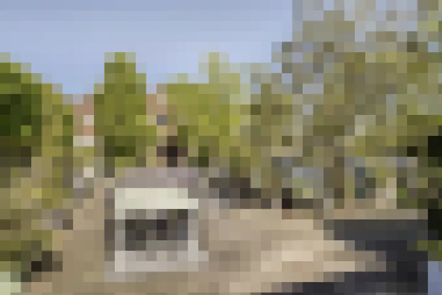 Meerkoeteiland 29 Voorschoten thumbnail 12