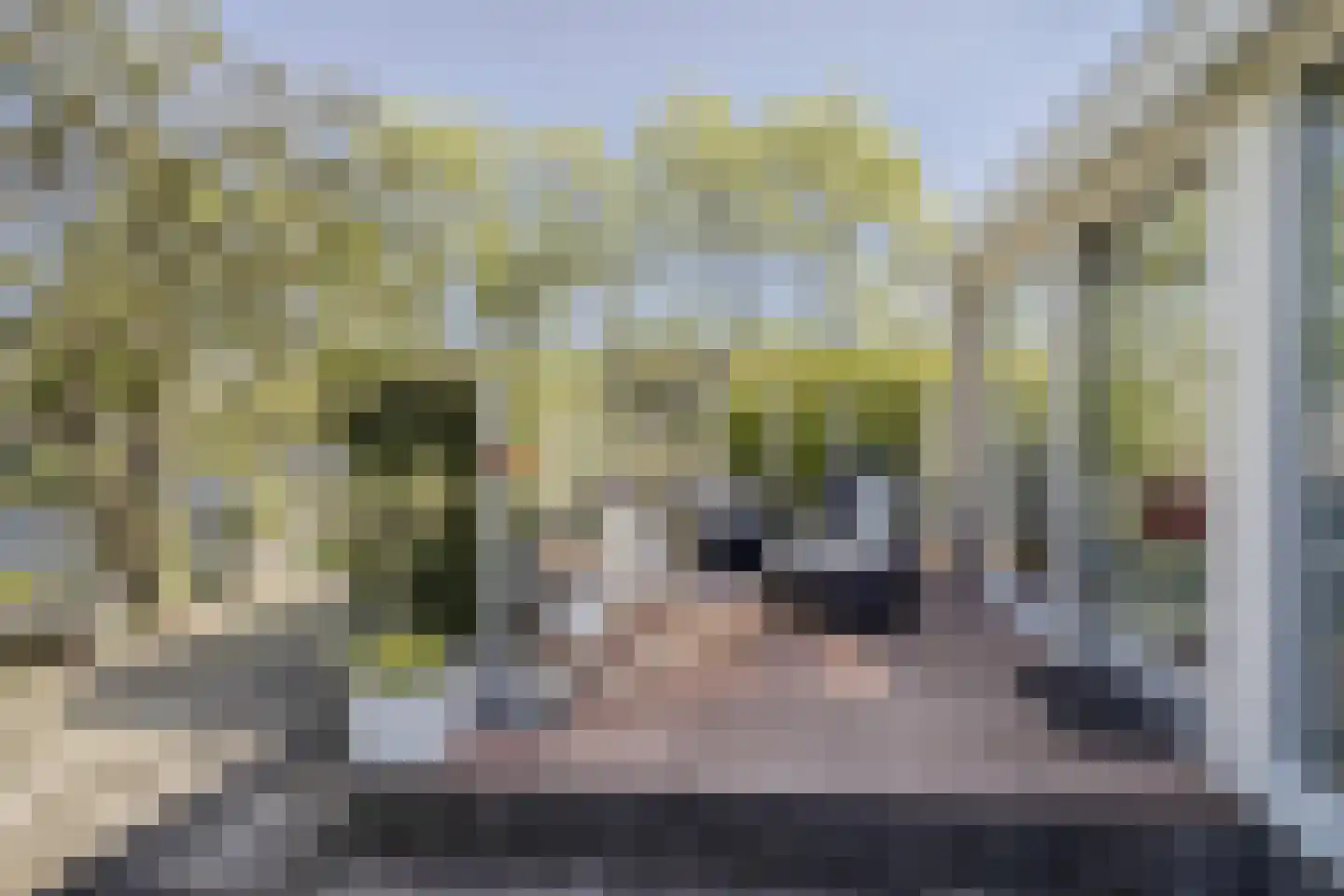 Meerkoeteiland 29 Voorschoten thumbnail 13