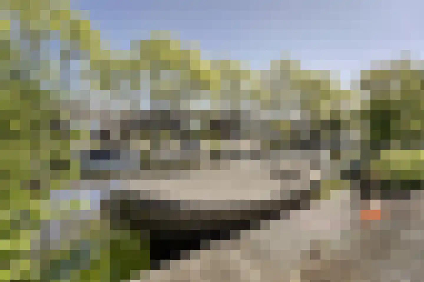 Meerkoeteiland 29 Voorschoten thumbnail 14