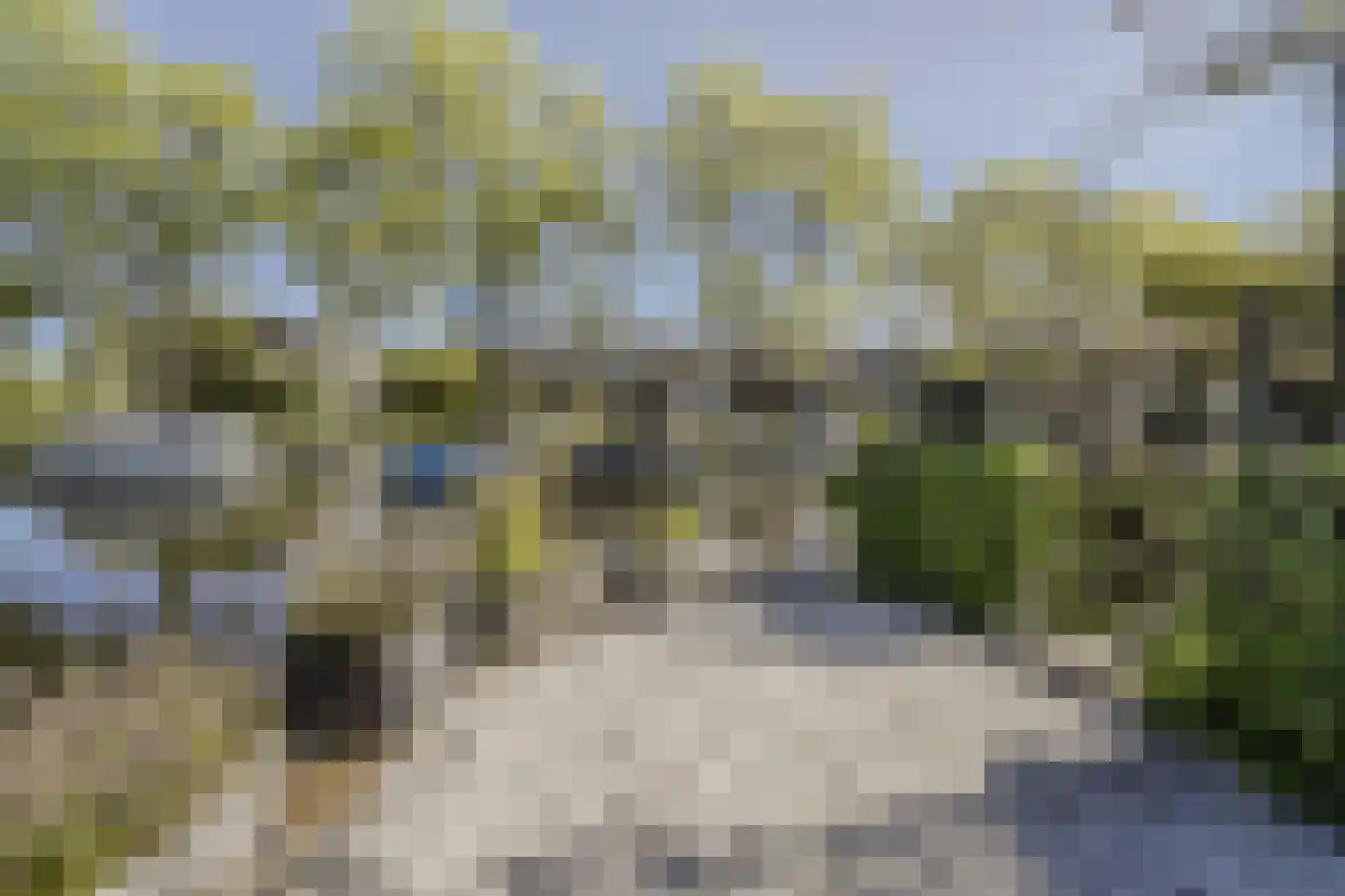 Meerkoeteiland 29 Voorschoten thumbnail 17
