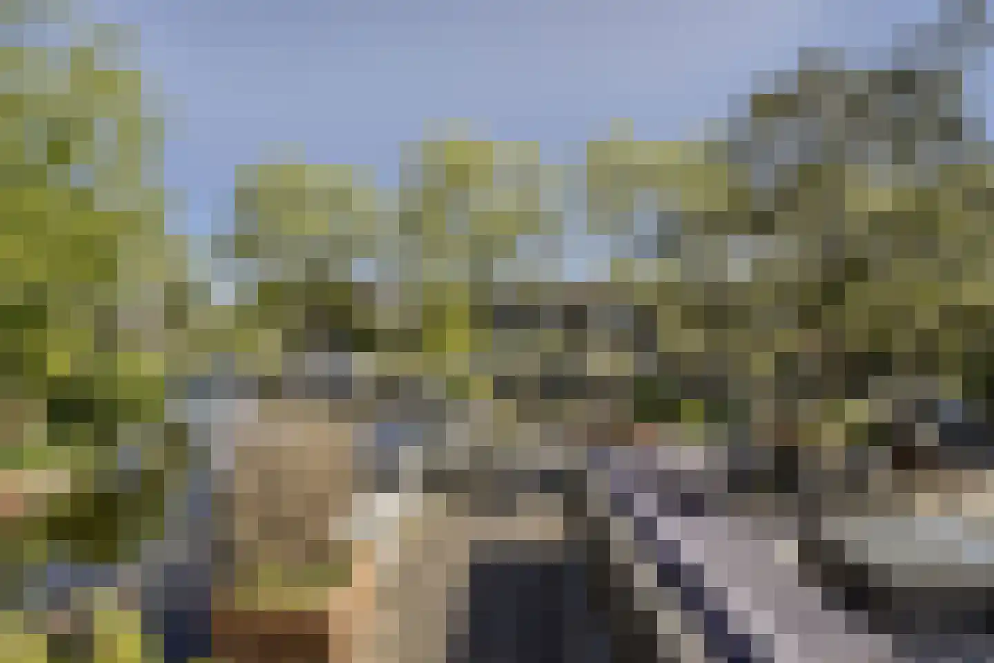 Meerkoeteiland 29 Voorschoten thumbnail 18
