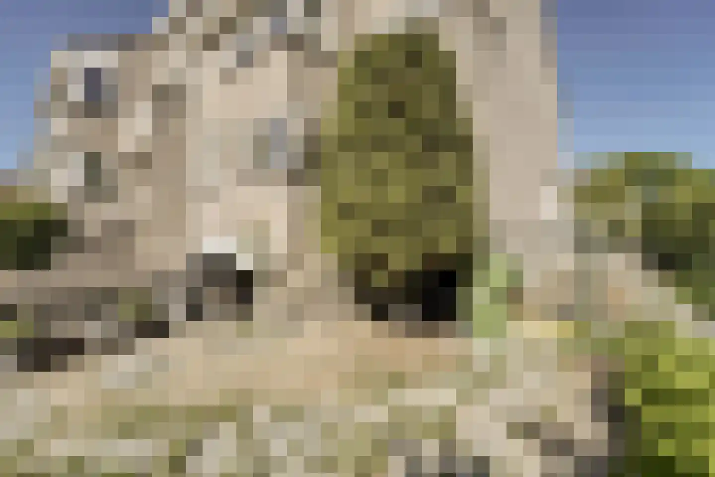 Meerkoeteiland 29 Voorschoten thumbnail 9