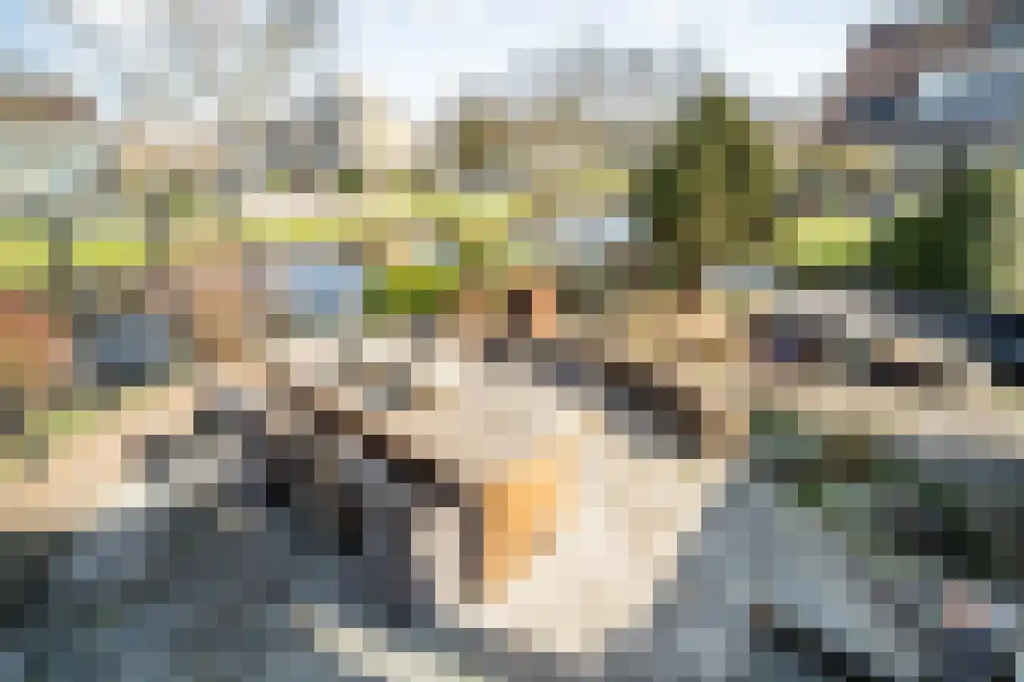 Meerkoeteiland 31 Voorschoten thumbnail 23