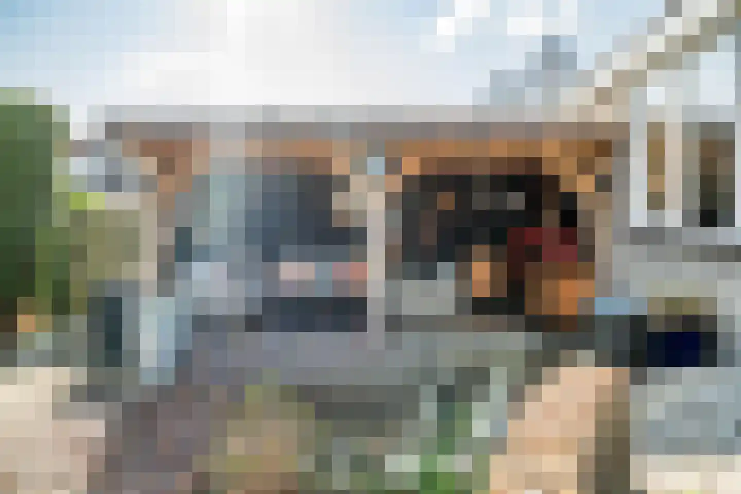 Meerkoeteiland 31 Voorschoten thumbnail 25