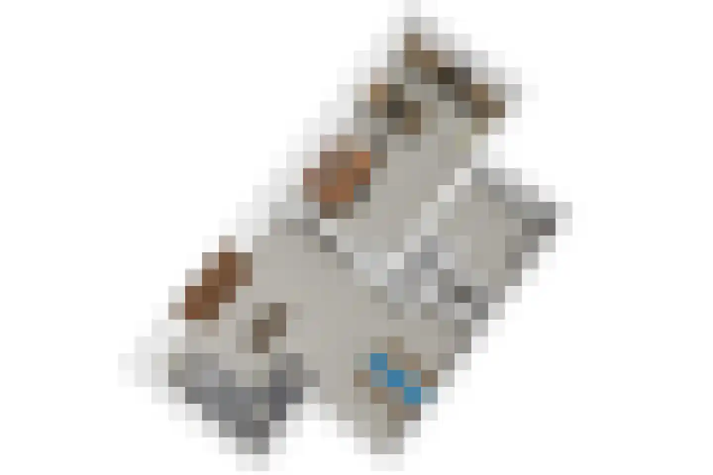Meerkoeteiland 31 Voorschoten thumbnail 66