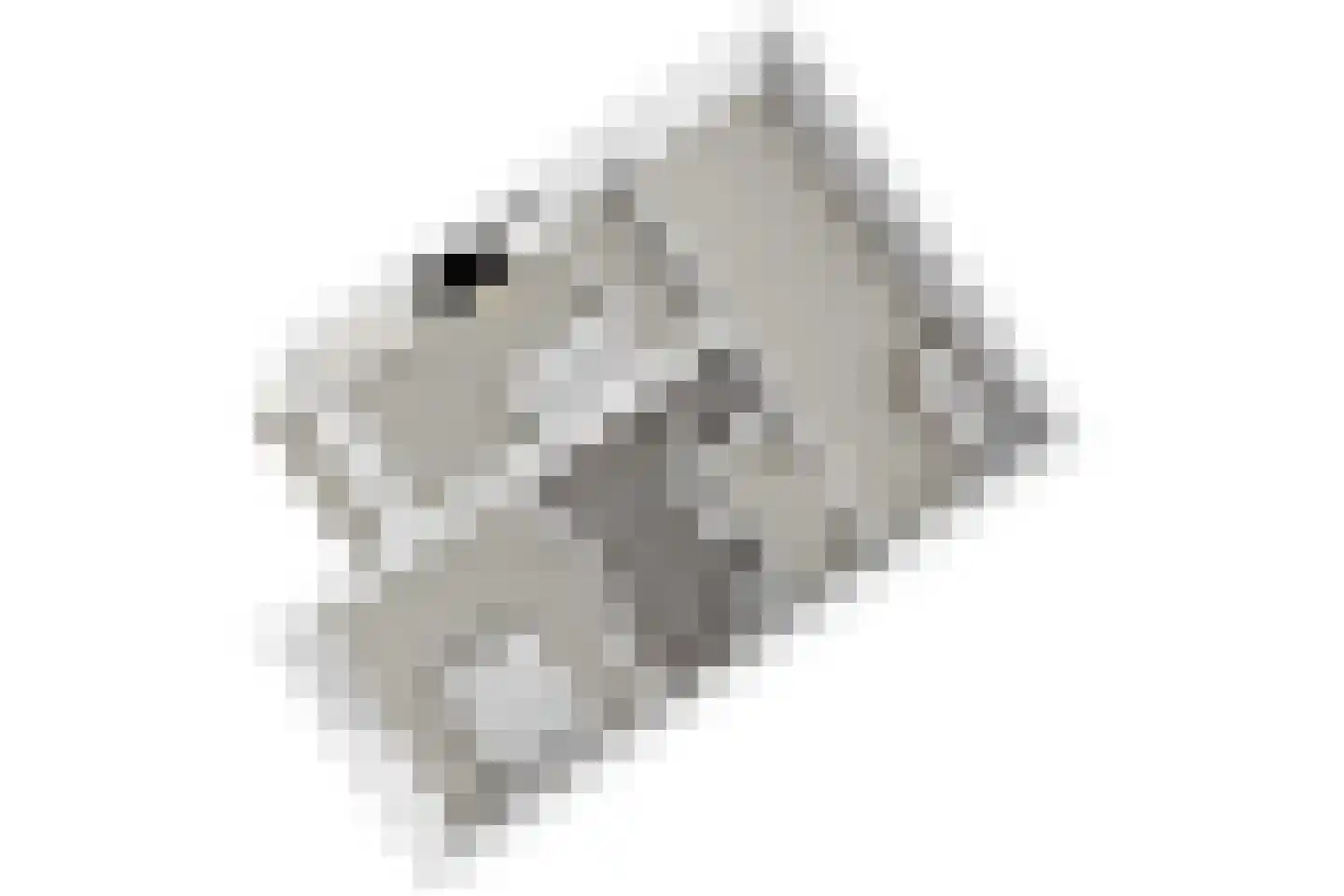 Meerkoeteiland 31 Voorschoten thumbnail 68