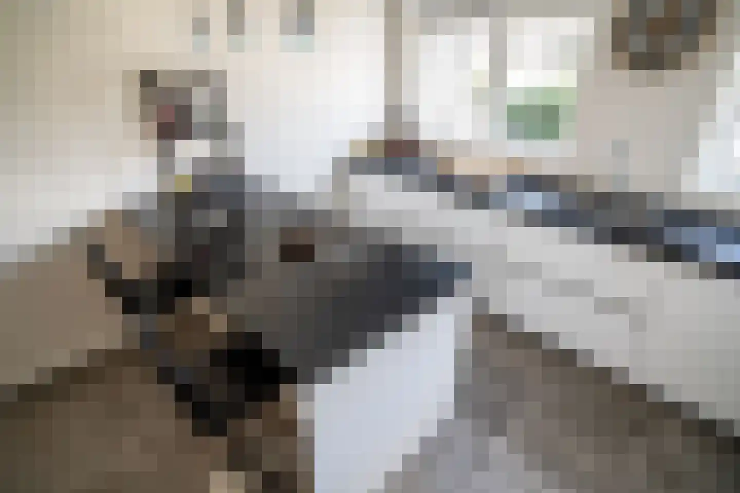 Meerkoeteiland 31 Voorschoten thumbnail 8