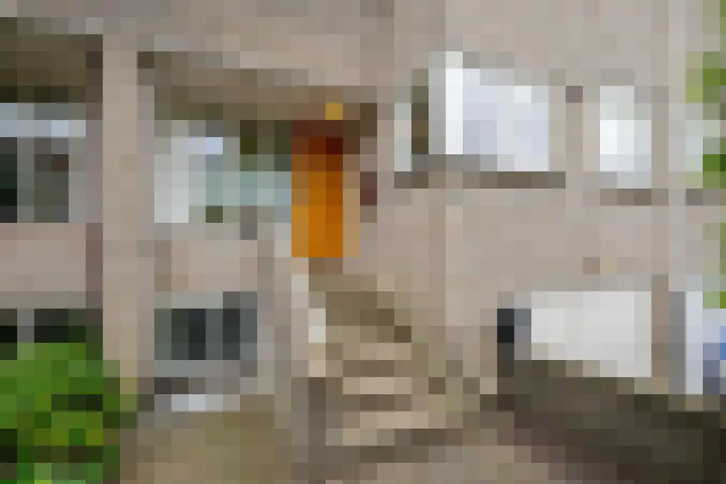 Meerkoeteiland 37 Voorschoten thumbnail 10