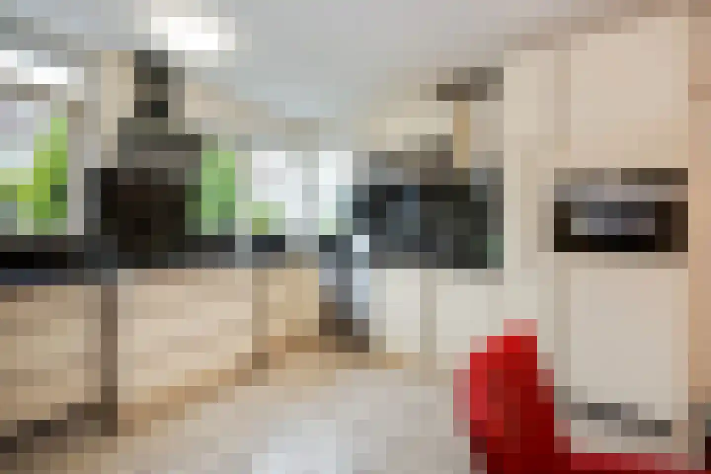 Meerkoeteiland 37 Voorschoten thumbnail 21