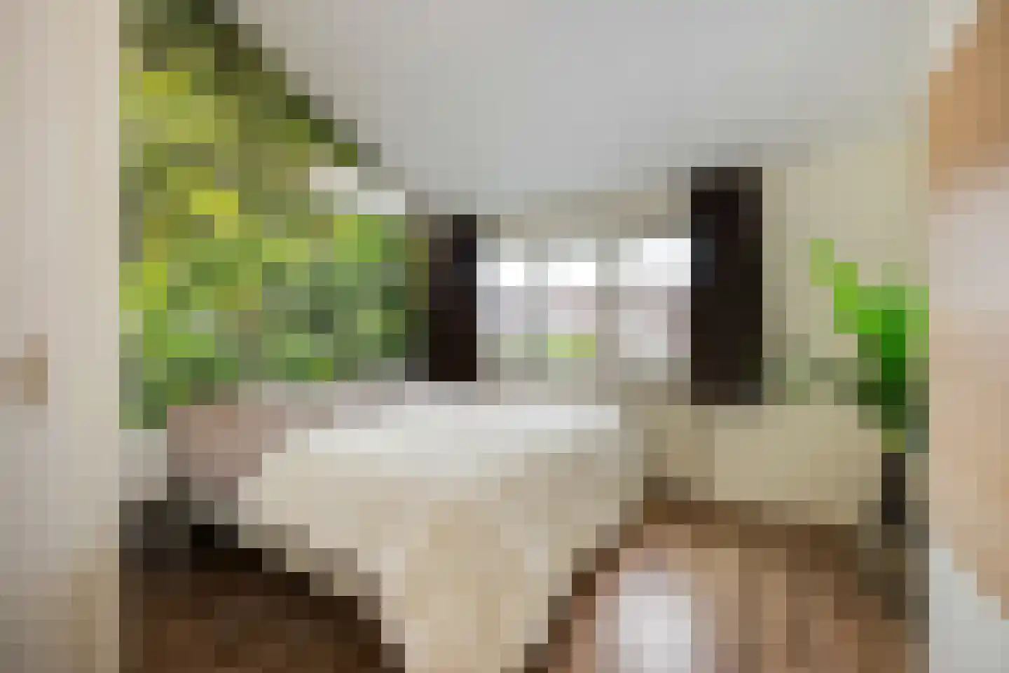 Meerkoeteiland 37 Voorschoten thumbnail 25