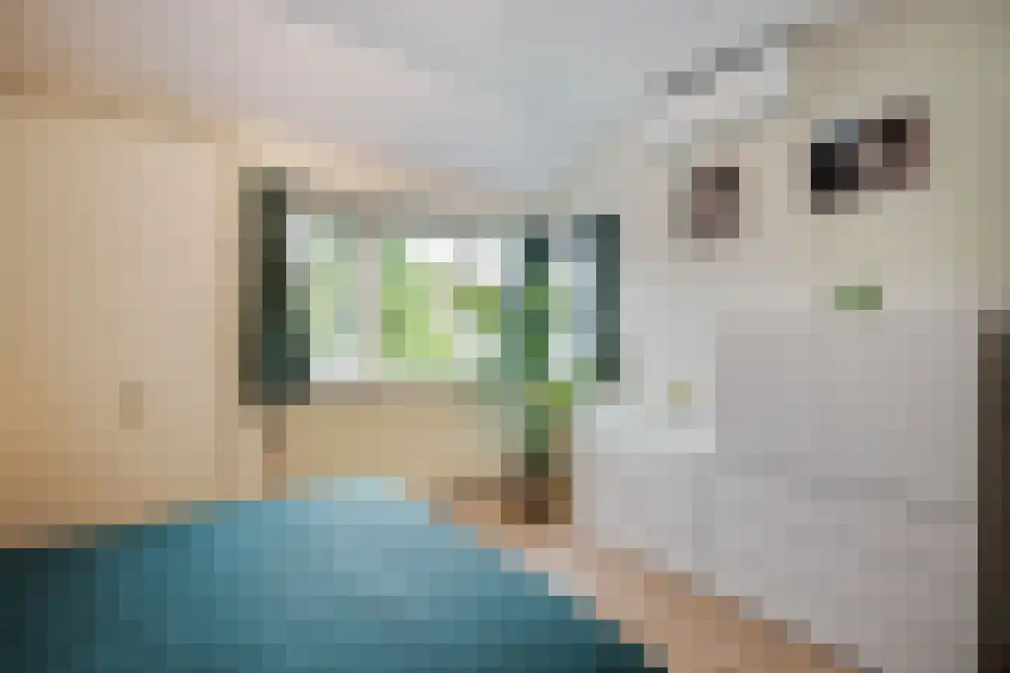 Meerkoeteiland 37 Voorschoten thumbnail 30