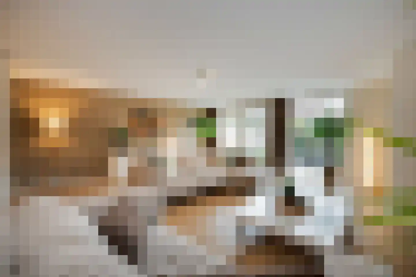 Meerkoeteiland 37 Voorschoten thumbnail 4