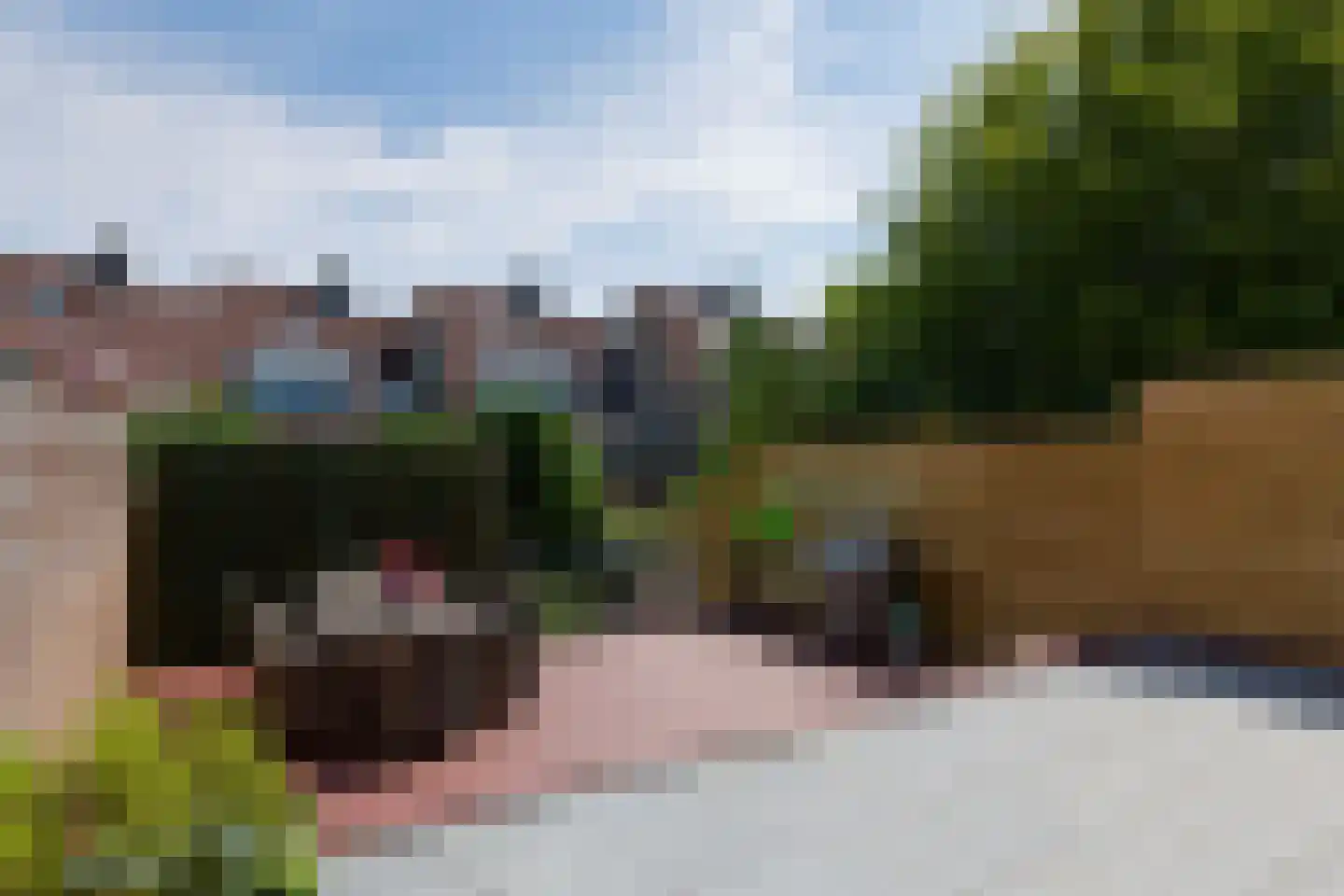 Meerkoeteiland 37 Voorschoten thumbnail 49