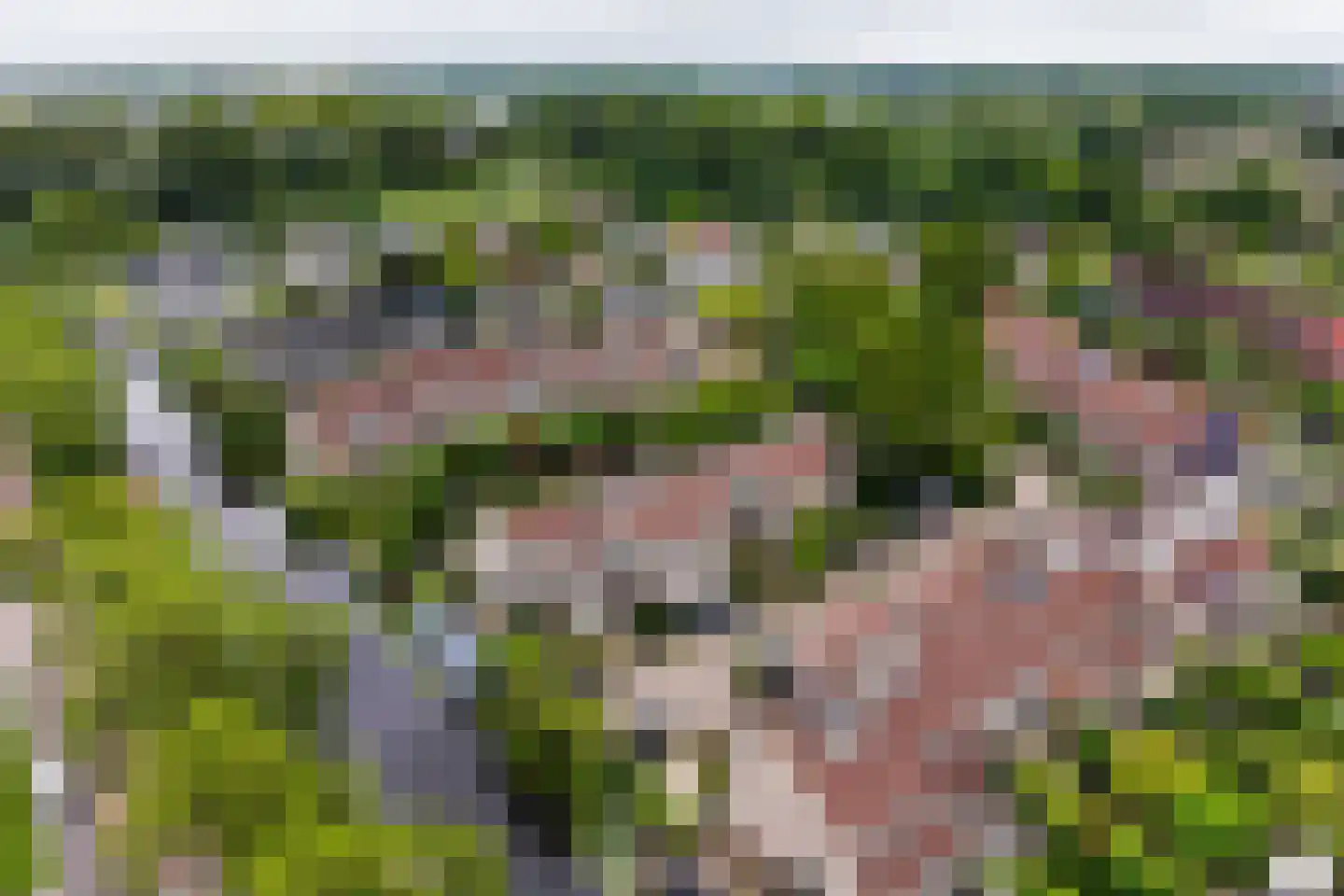 Meerkoeteiland 37 Voorschoten thumbnail 5