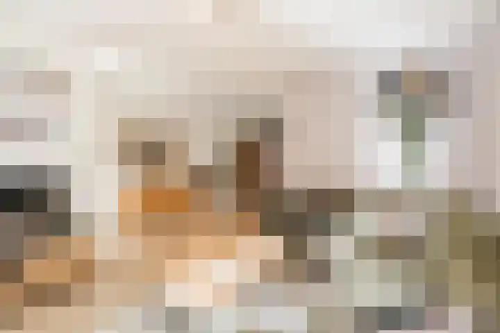 Meerkoethof 14 Dongen thumbnail 10