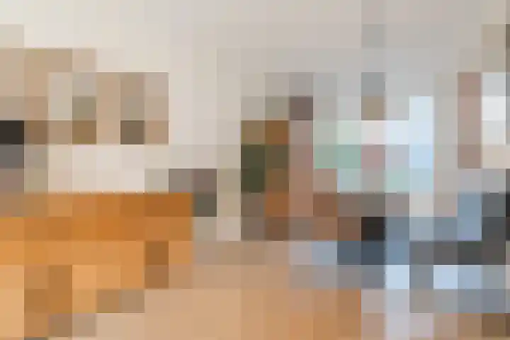 Meerkoethof 14 Dongen thumbnail 12