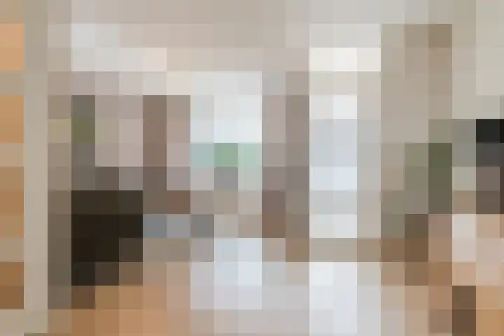 Meerkoethof 14 Dongen thumbnail 14