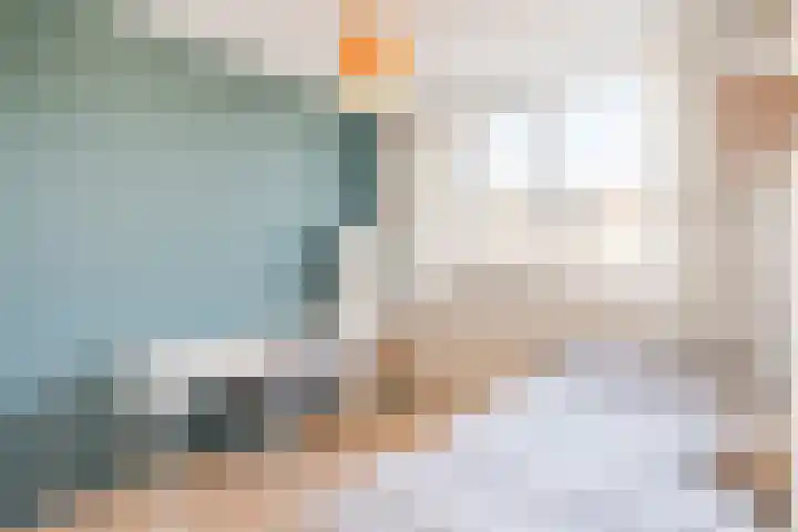 Meerkoethof 14 Dongen thumbnail 27