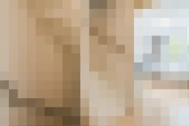 Meerkoethof 14 Dongen thumbnail 30