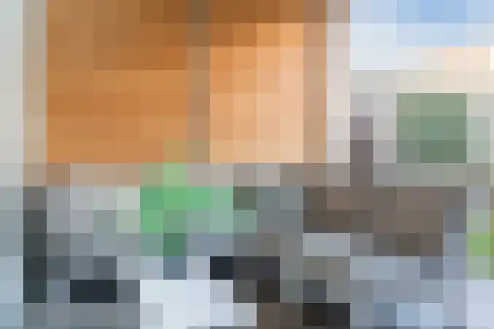 Meerkoethof 14 Dongen thumbnail 37