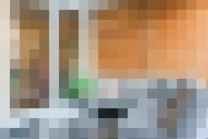 Meerkoethof 14 Dongen thumbnail 38