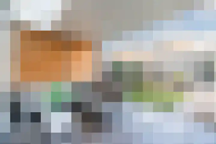 Meerkoethof 14 Dongen thumbnail 39