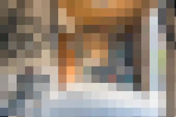 Meerkoethof 14 Dongen thumbnail 44